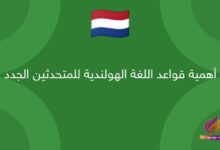 أهمية قواعد اللغة الهولندية للمتحدثين الجدد