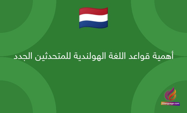 أهمية قواعد اللغة الهولندية للمتحدثين الجدد