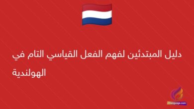 دليل المبتدئين لفهم الفعل القياسي التام في الهولندية