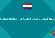 كيفية استخدام ضمائر الملكية في الهولندية بفعالية