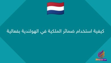 كيفية استخدام ضمائر الملكية في الهولندية بفعالية