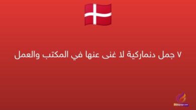 7 جمل دنماركية لا غنى عنها في المكتب والعمل