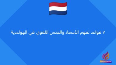 7 قواعد لفهم الأسماء والجنس اللغوي في الهولندية