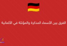 الفرق بين الأسماء المذكرة والمؤنثة في الألمانية
