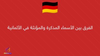الفرق بين الأسماء المذكرة والمؤنثة في الألمانية