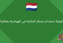 كيفية استخدام ضمائر الملكية في الهولندية بفعالية
