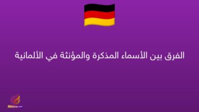 الفرق بين الأسماء المذكرة والمؤنثة في الألمانية